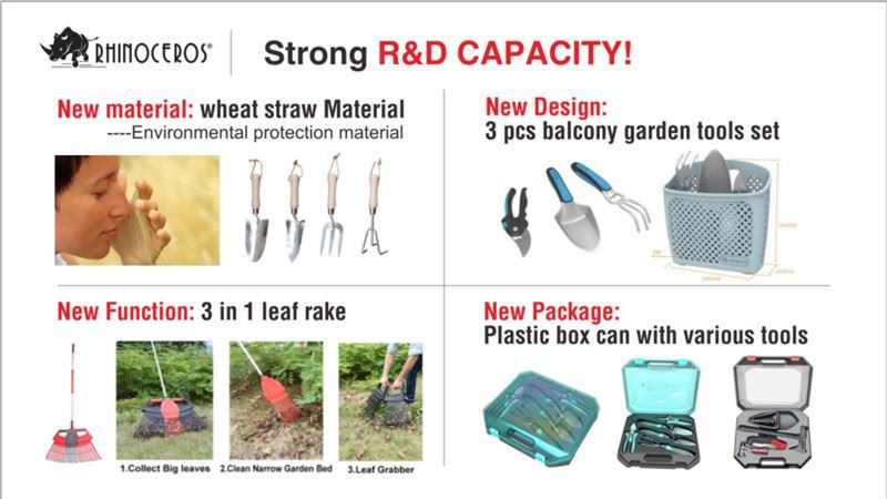 Strong R&D Capacity