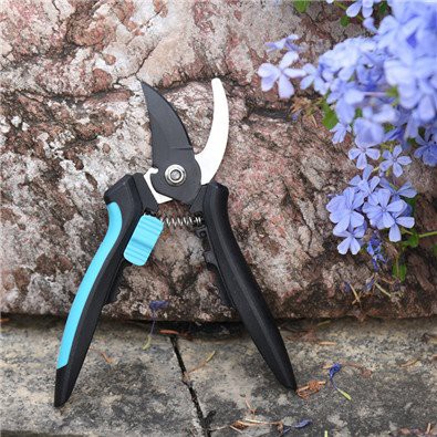 Blue and black hand bypass pruners