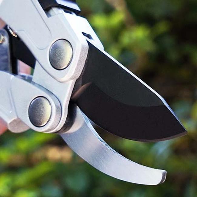 Teflon coating sharp pruner