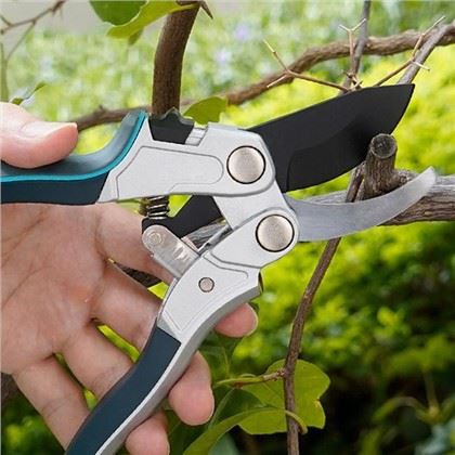 Επιλέγοντας τα τέλεια κλαδευτήρια για τις μηλιές σας: Οδηγός κηπουρού