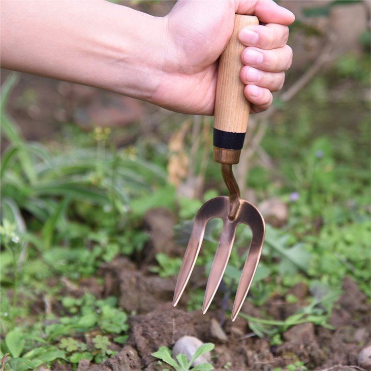 stainless steel garden fork