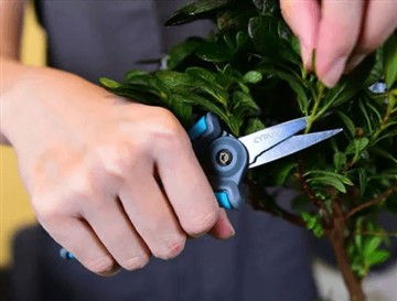 Γιατί λανσάραμε το νέο και μεγαλύτερο ψαλίδι