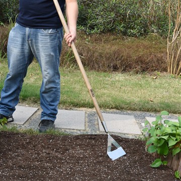 Τα οφέλη της έναρξης ενός κήπου με λαχανικά