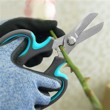 Ξεκινώντας τον κήπο των λουλουδιών