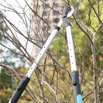 Κλάδεμα και κλάδεμα: Φροντίδα στον οικογενειακό μου κήπο