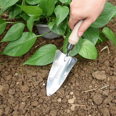 Ημερολόγιο Φύτευσης Κήπου -1