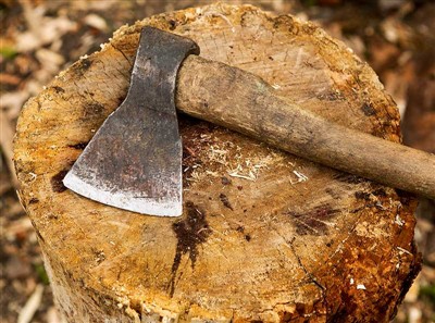 Εργαλεία κοπής δέντρων και εξοπλισμός ασφαλείας