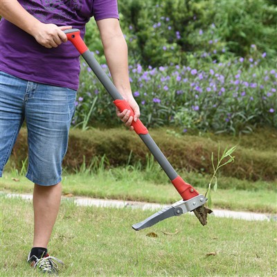 Stand Up Weeder για αβίαστο βουτιά