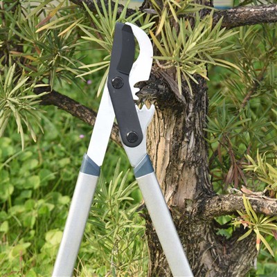 Τα καλύτερα κλαδιά κλαδέματος εργαλείων είναι τα Bypass Loppers