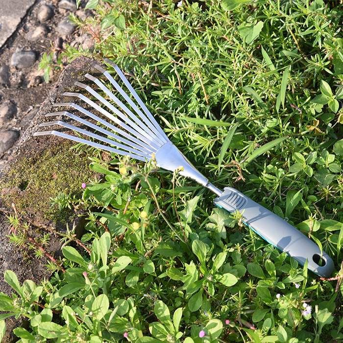 Small Metal Leaf Rake