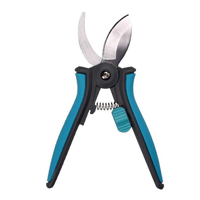 Κλαδευτικό φυτών εσωτερικού χώρου