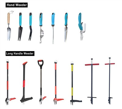 Καλλιέργεια πράσινου: Αγκαλιάζοντας τη βιωσιμότητα στον κήπο σας