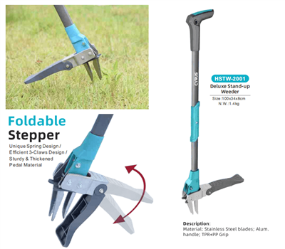 Γιορτάζοντας το Mid-Autumn Festival σε όλο τον κόσμο: Μια αρμονία παράδοσης κ...