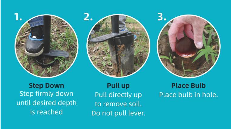 product-762-426 product-762-426